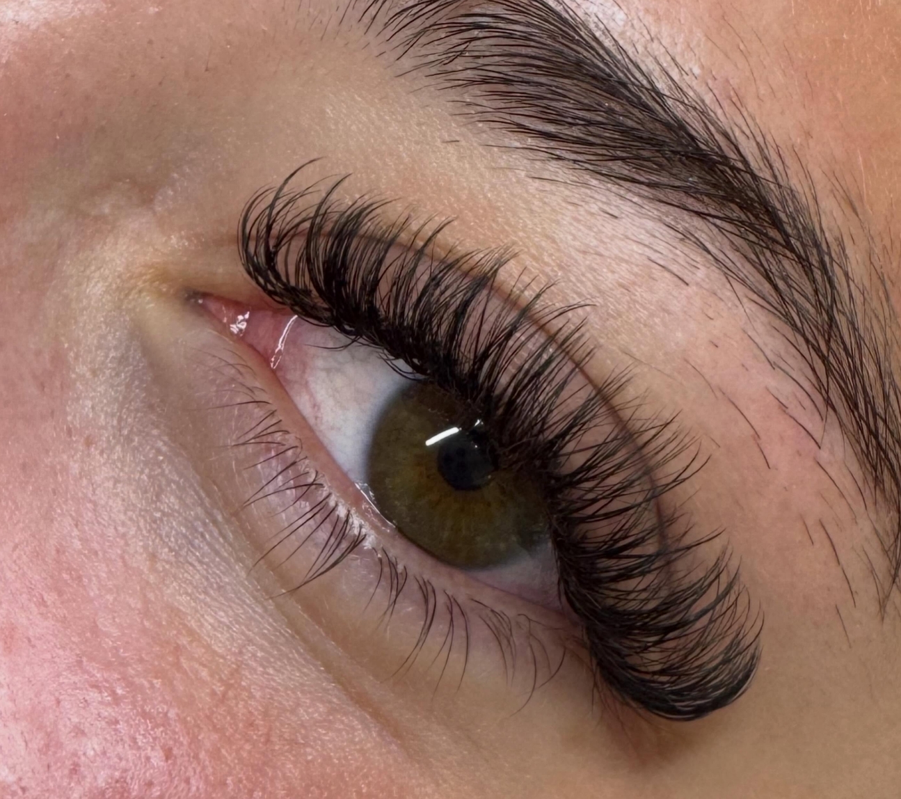 LASH & BROW